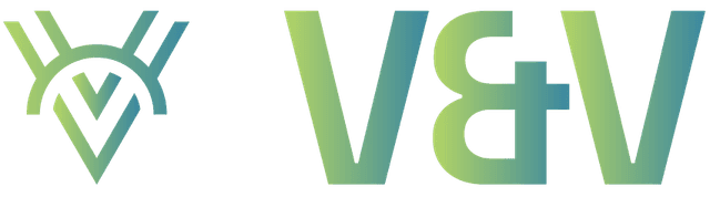 V&V Soluções Financeiras